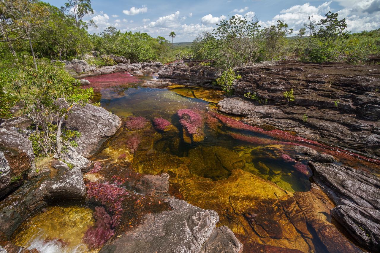 La Manigua Lodge La Macarena Kültér fotó